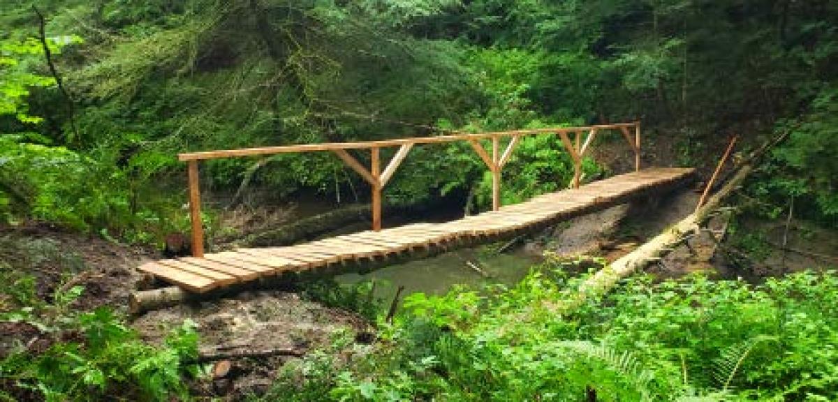 conservation bridge